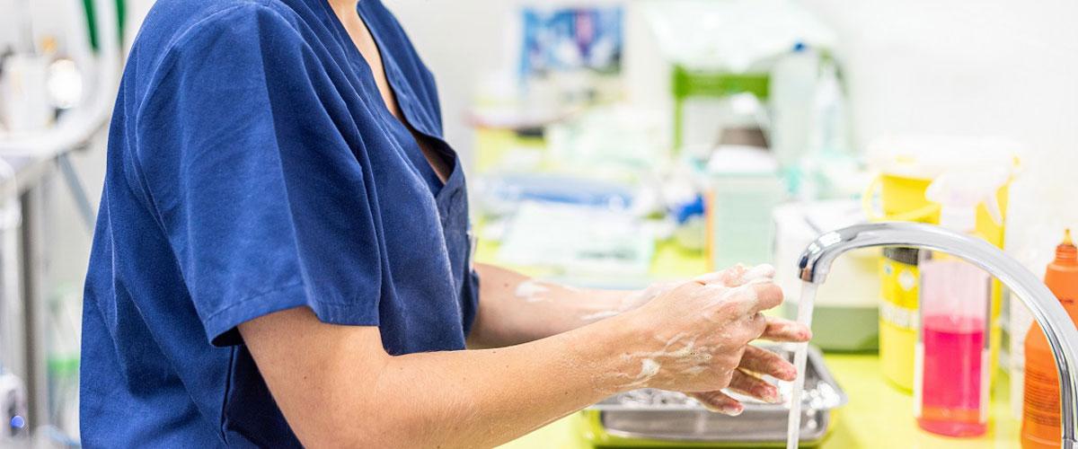 Nurse washing hands