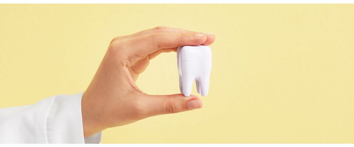 Holding a tooth