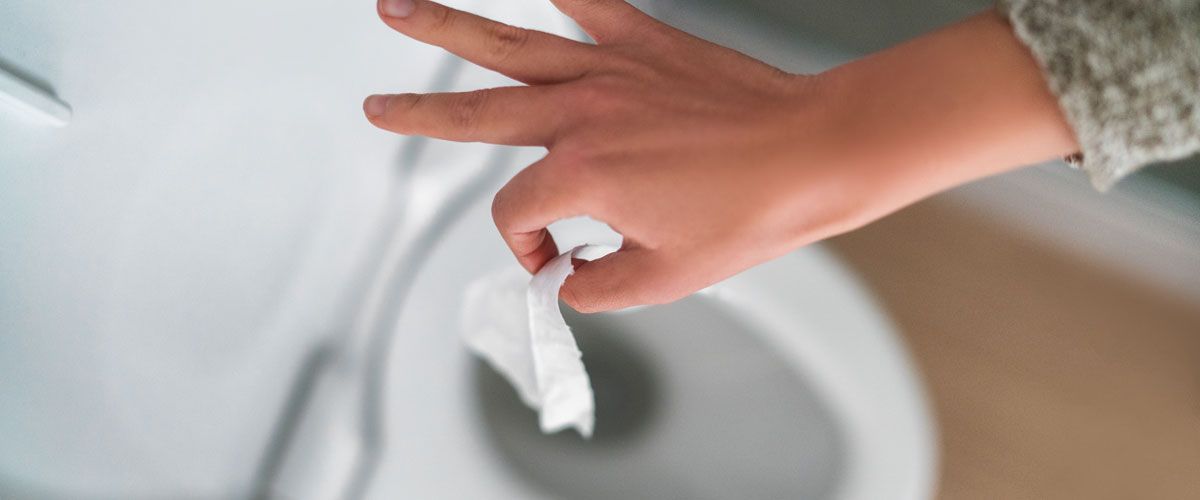 flushable wipe in toilets